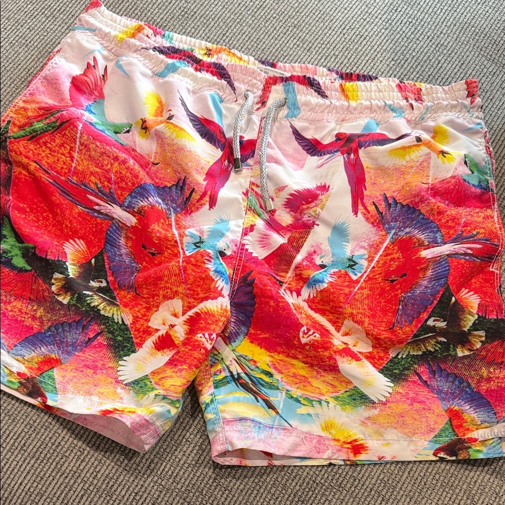 Valero Colorful Parrot Print Men's Swim Trunks XL